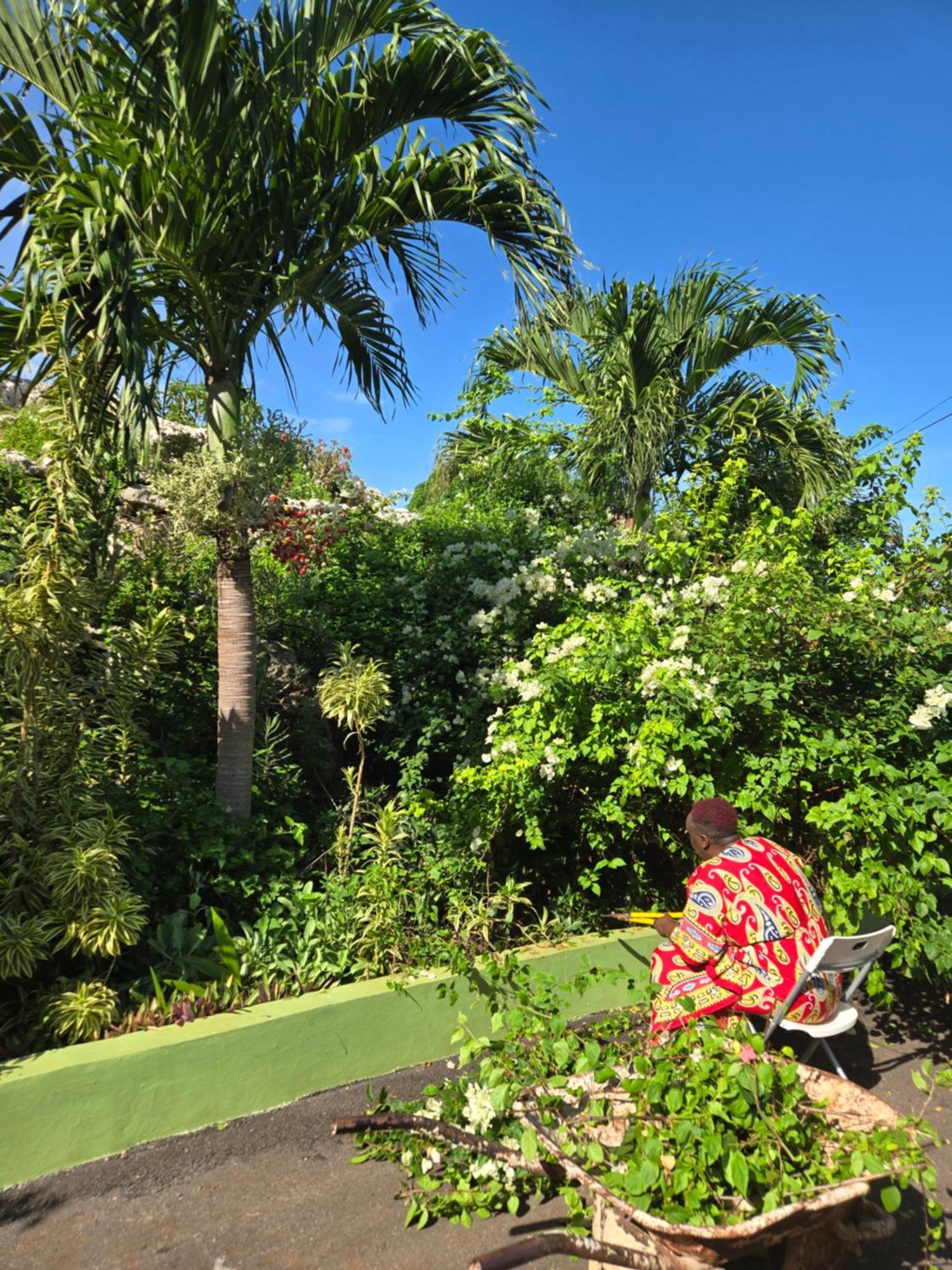 Eve'S Rockaway Villa Alligator Pond Village Bagian luar foto