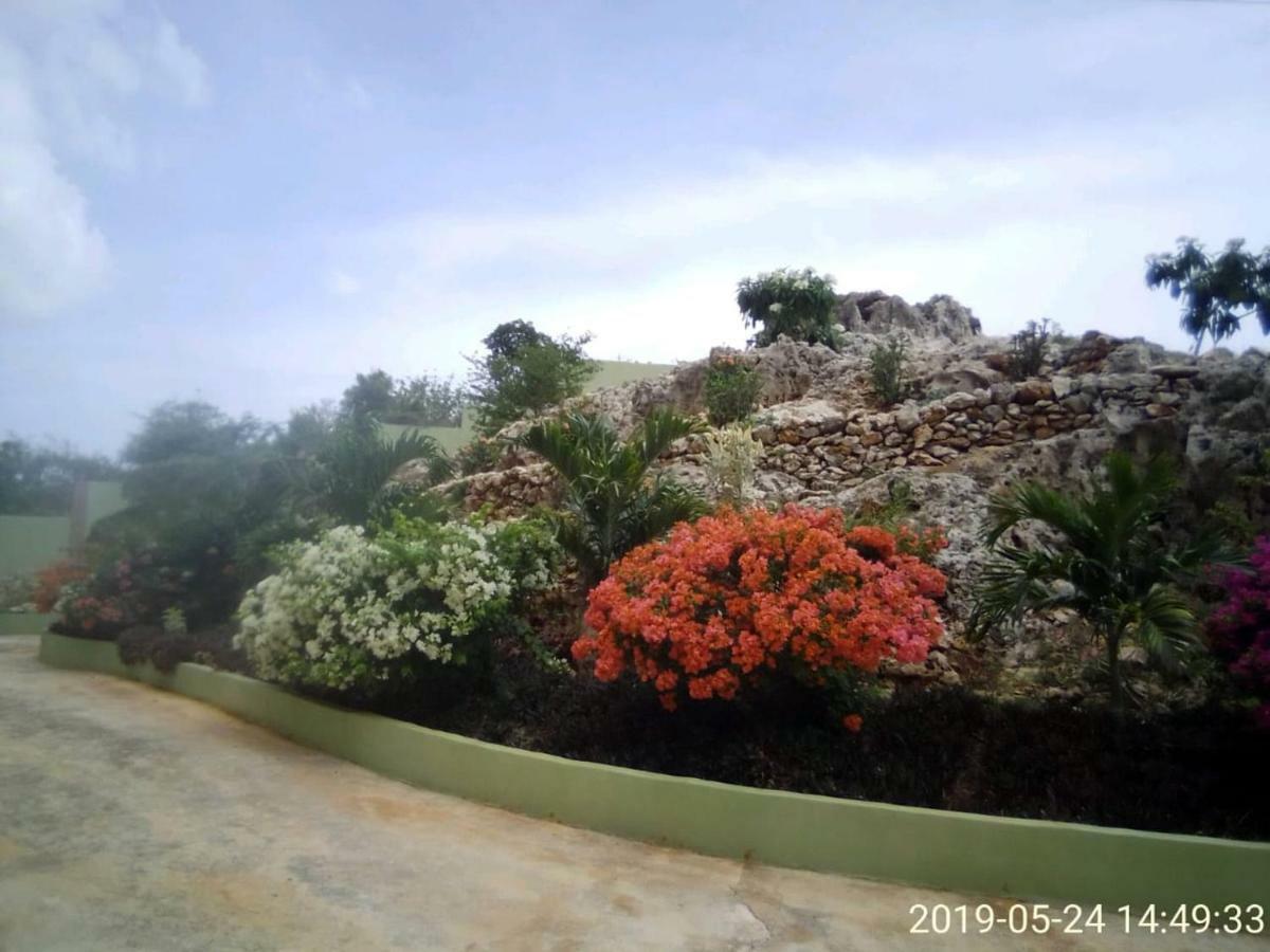 Eve'S Rockaway Villa Alligator Pond Village Bagian luar foto